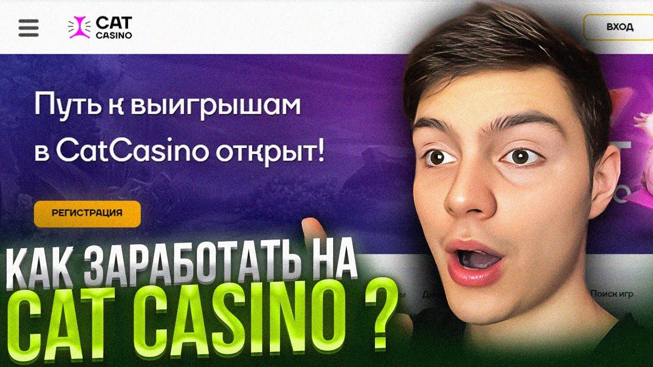 Рабочее зеркало Cat казино