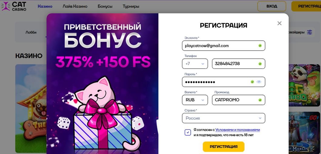 Вход на официальный сайт Кэт casino